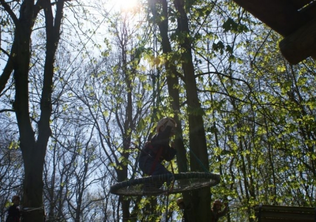  Talles originales en los árboles 